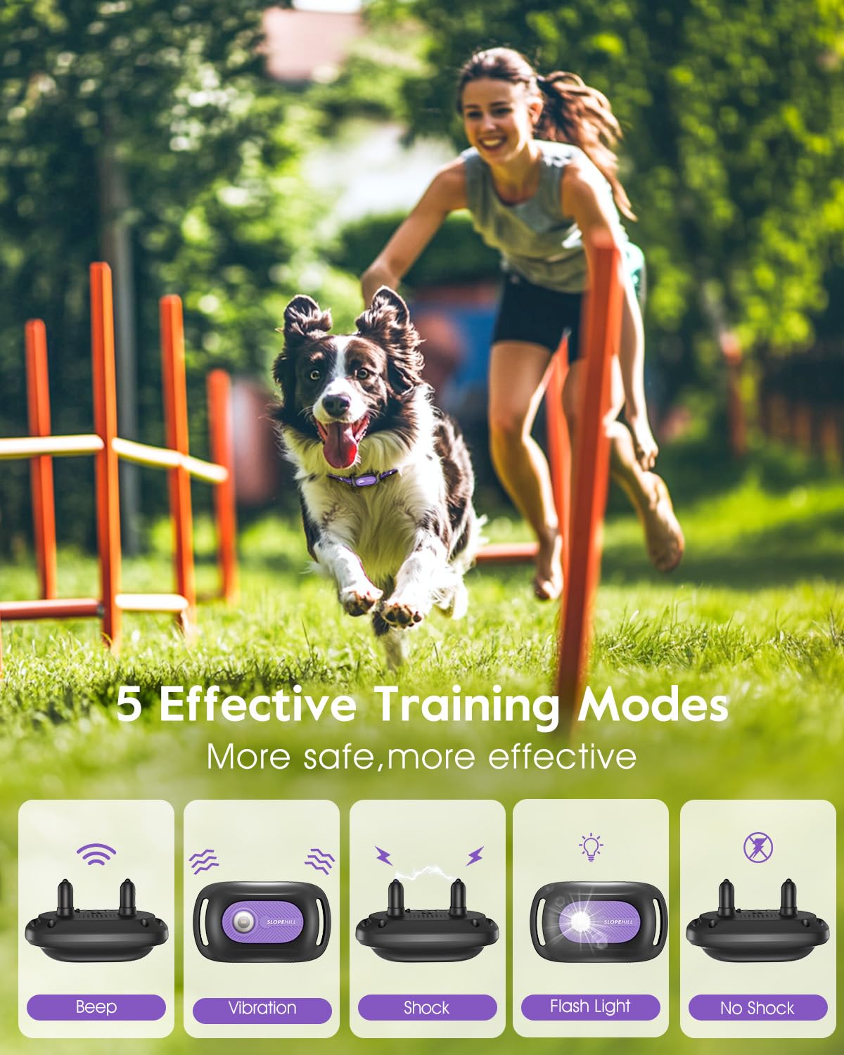 Dog Shock Collar 2 Dogs N73439