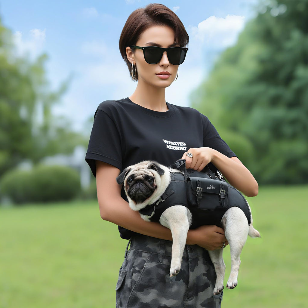 Dog Backpack Carrier E673