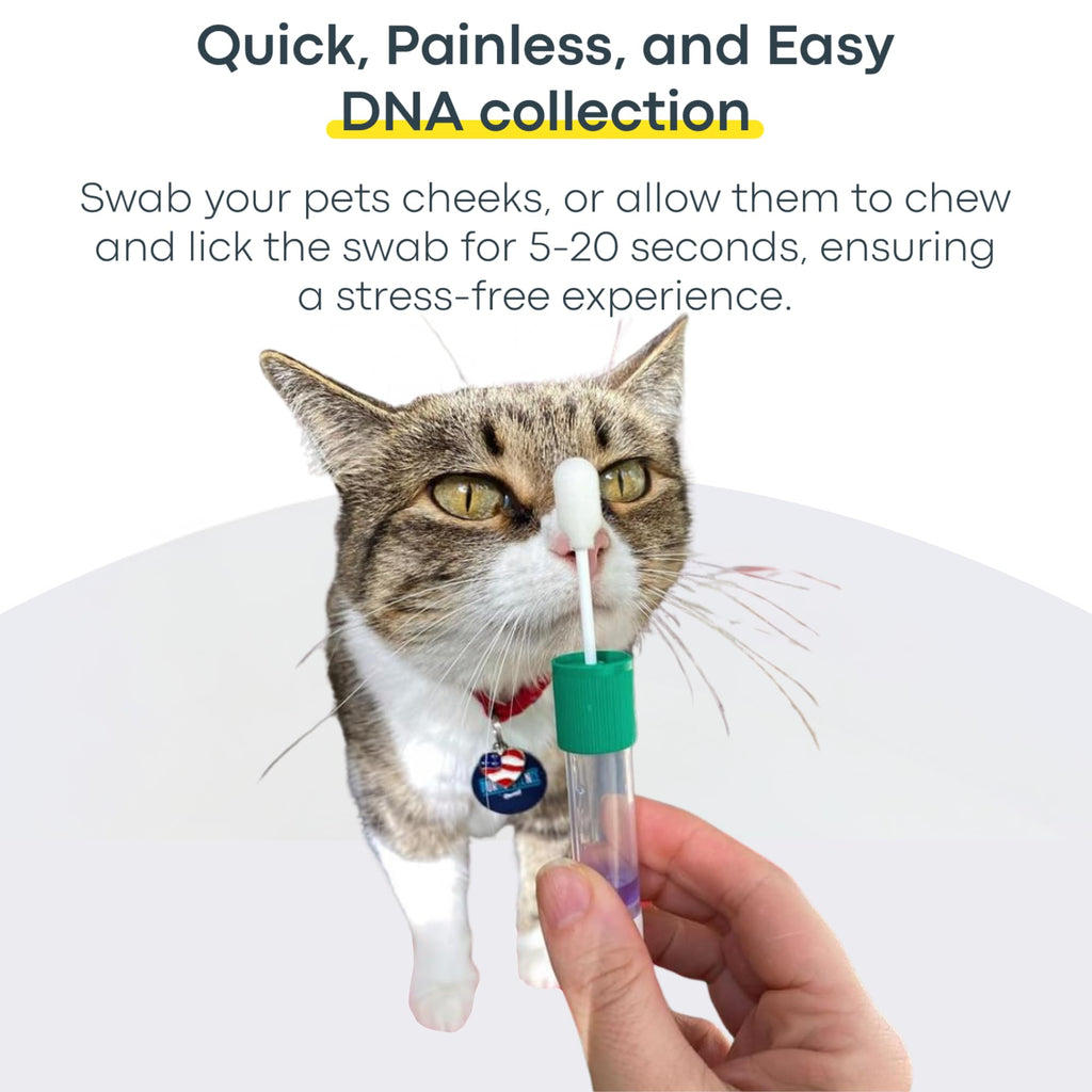 Cat DNA Test Kit P70689
