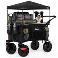 Foldable Push Wagon with Canopy W185569