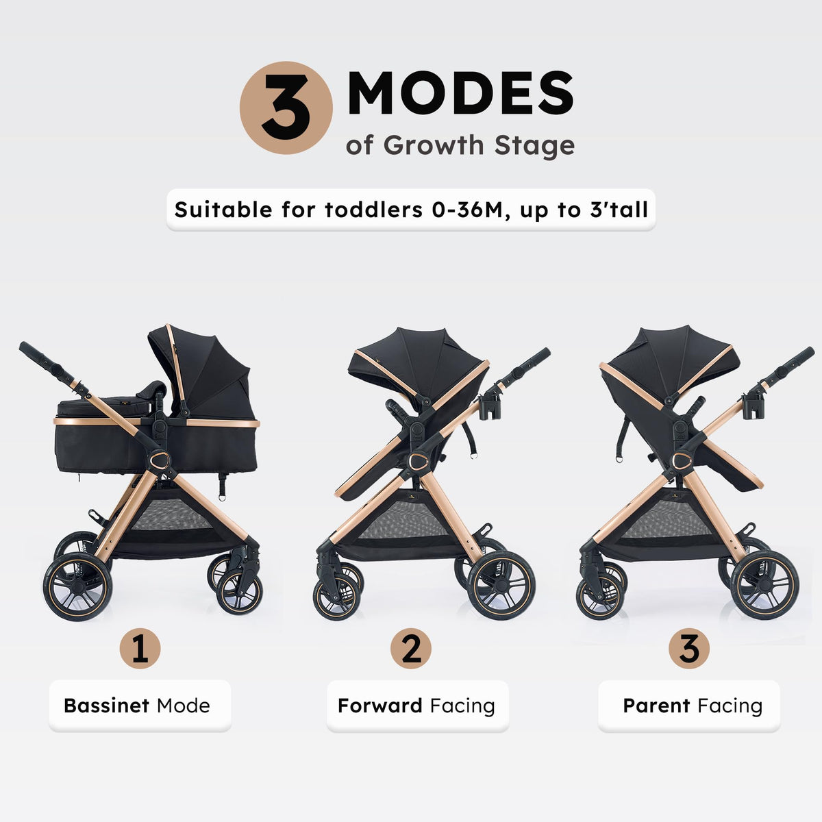 2-in-1 Convertible Baby Stroller J388