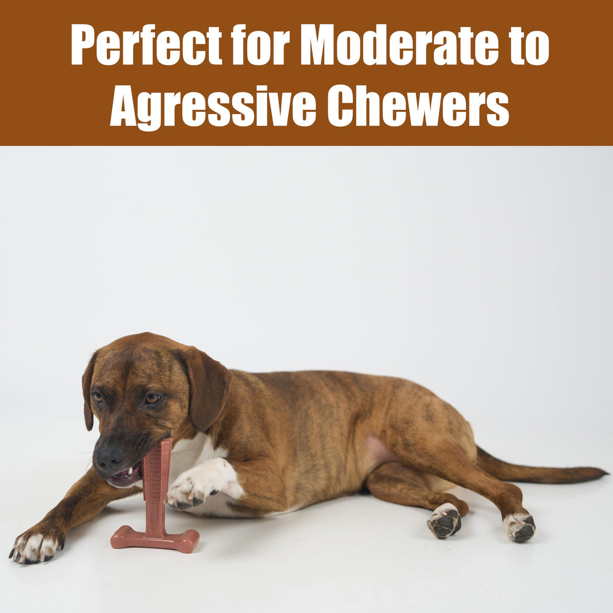 Beef Dog Chew V214