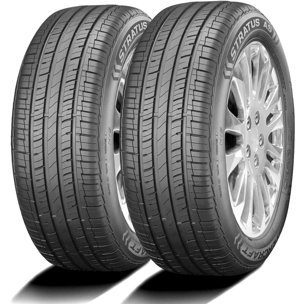 225/60R17 99H All Season Performance Tire W70609