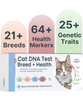 Cat DNA Test Kit P70689