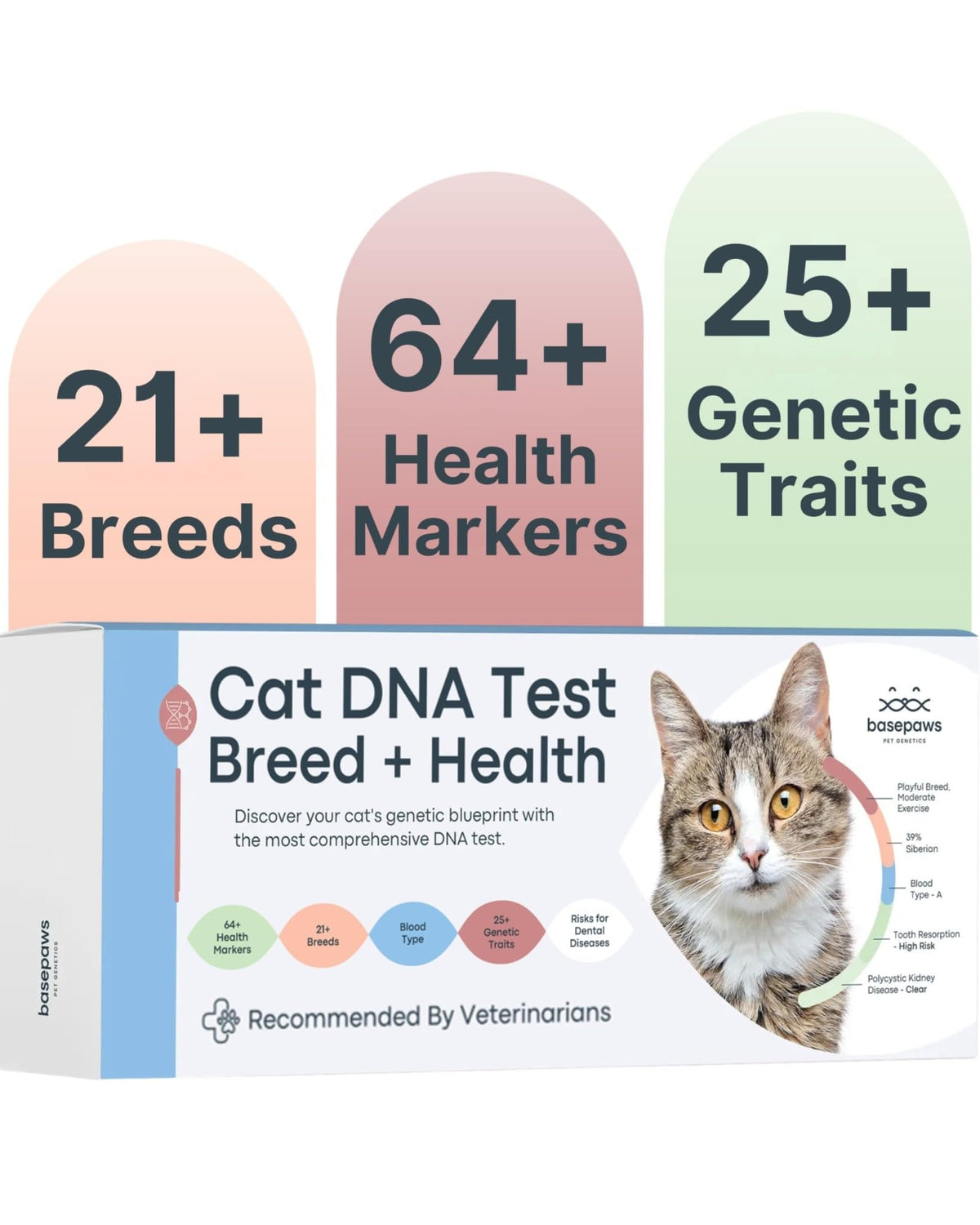 Cat DNA Test Kit P70689