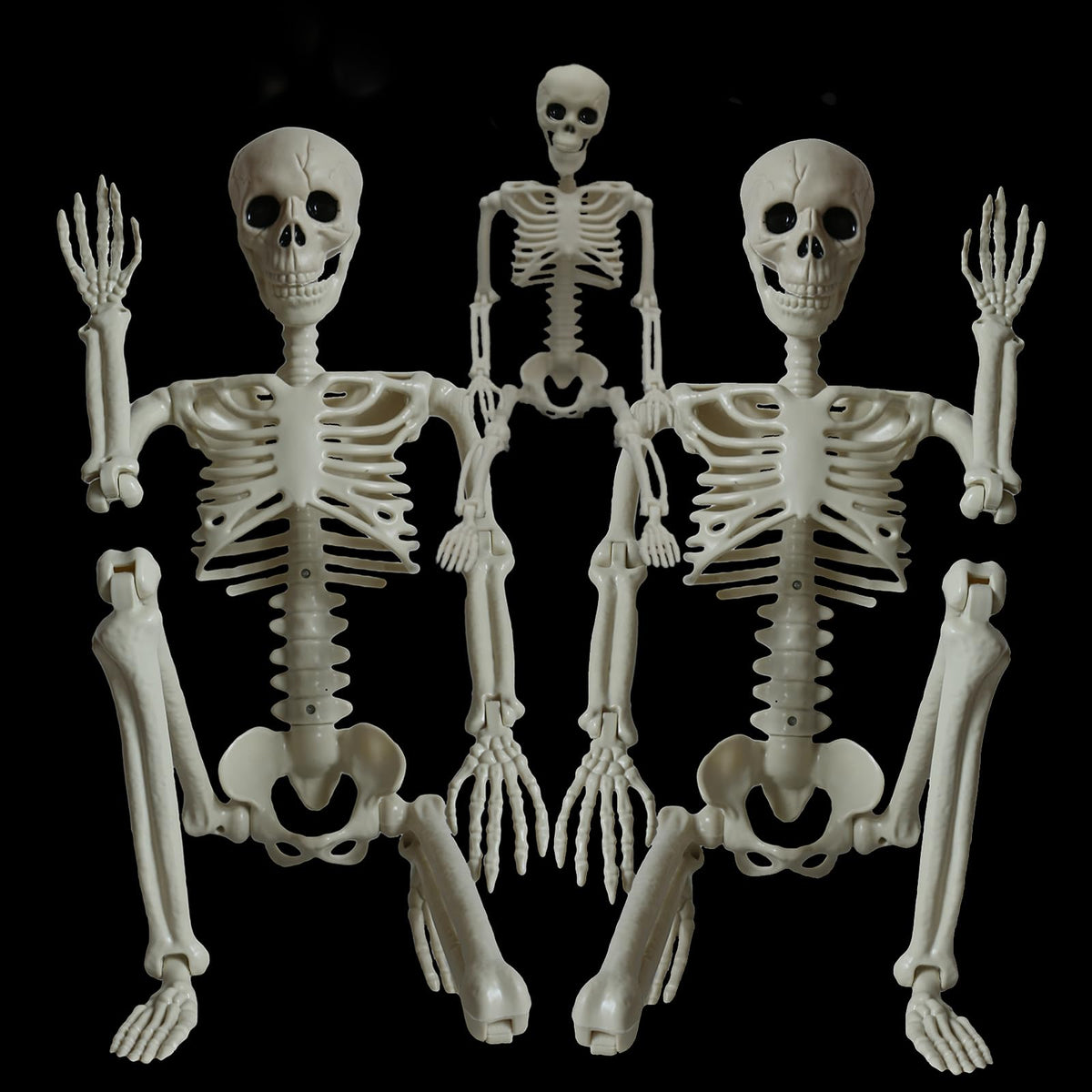 2Pcs 36" 1Pcs 16" Posable Plastic Skeleton R2165