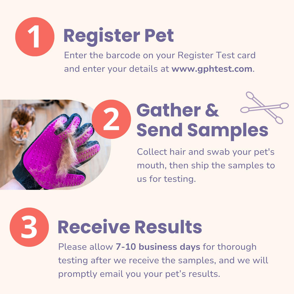 Pet Intolerance Test Dogs & Cats W206750