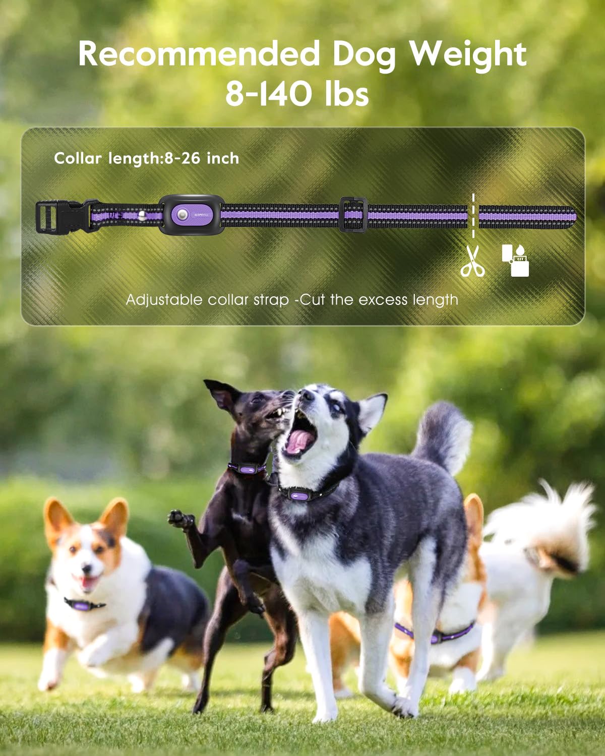 Dog Shock Collar 2 Dogs N73439