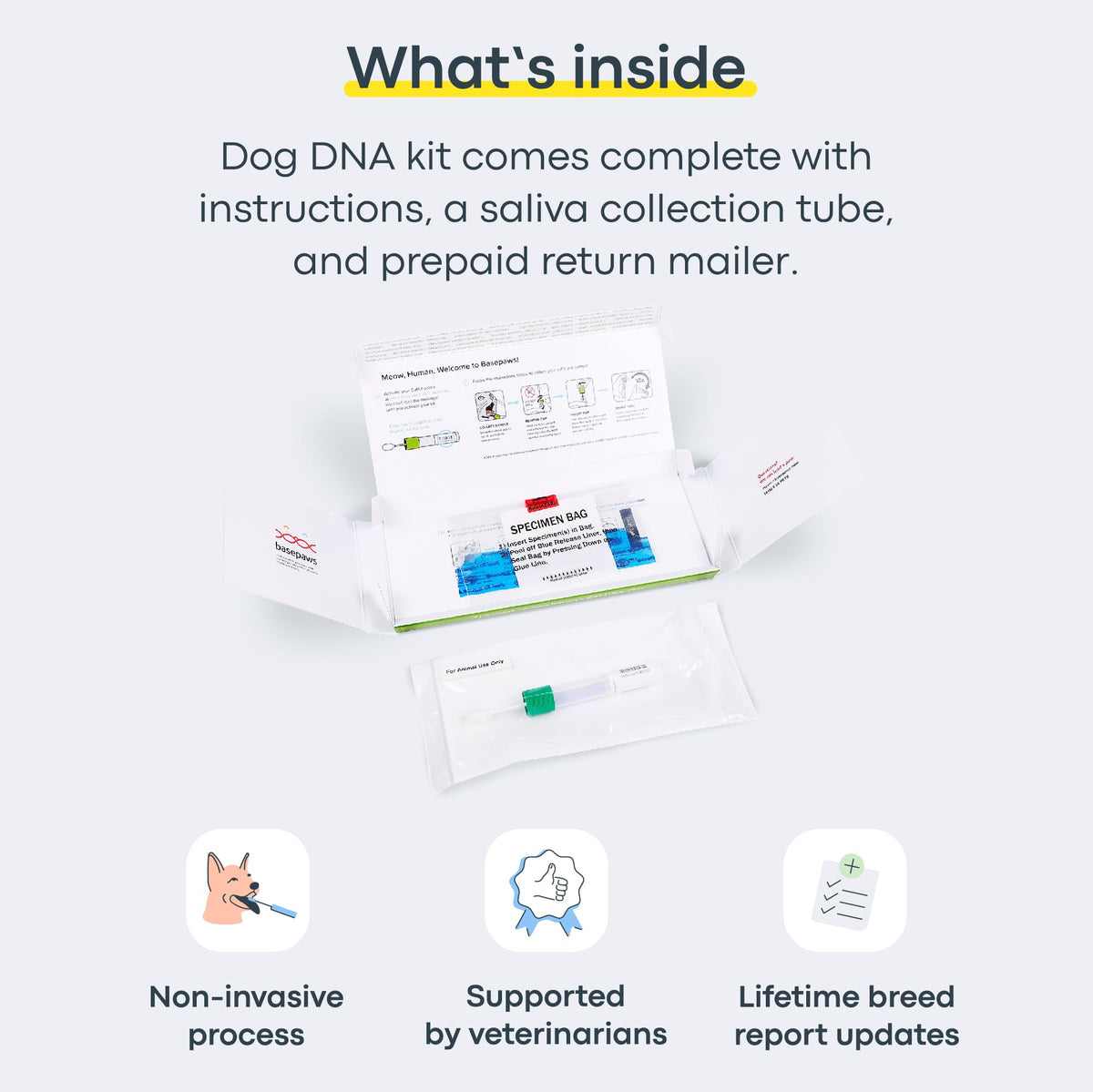 Cat DNA Test Kit P70689