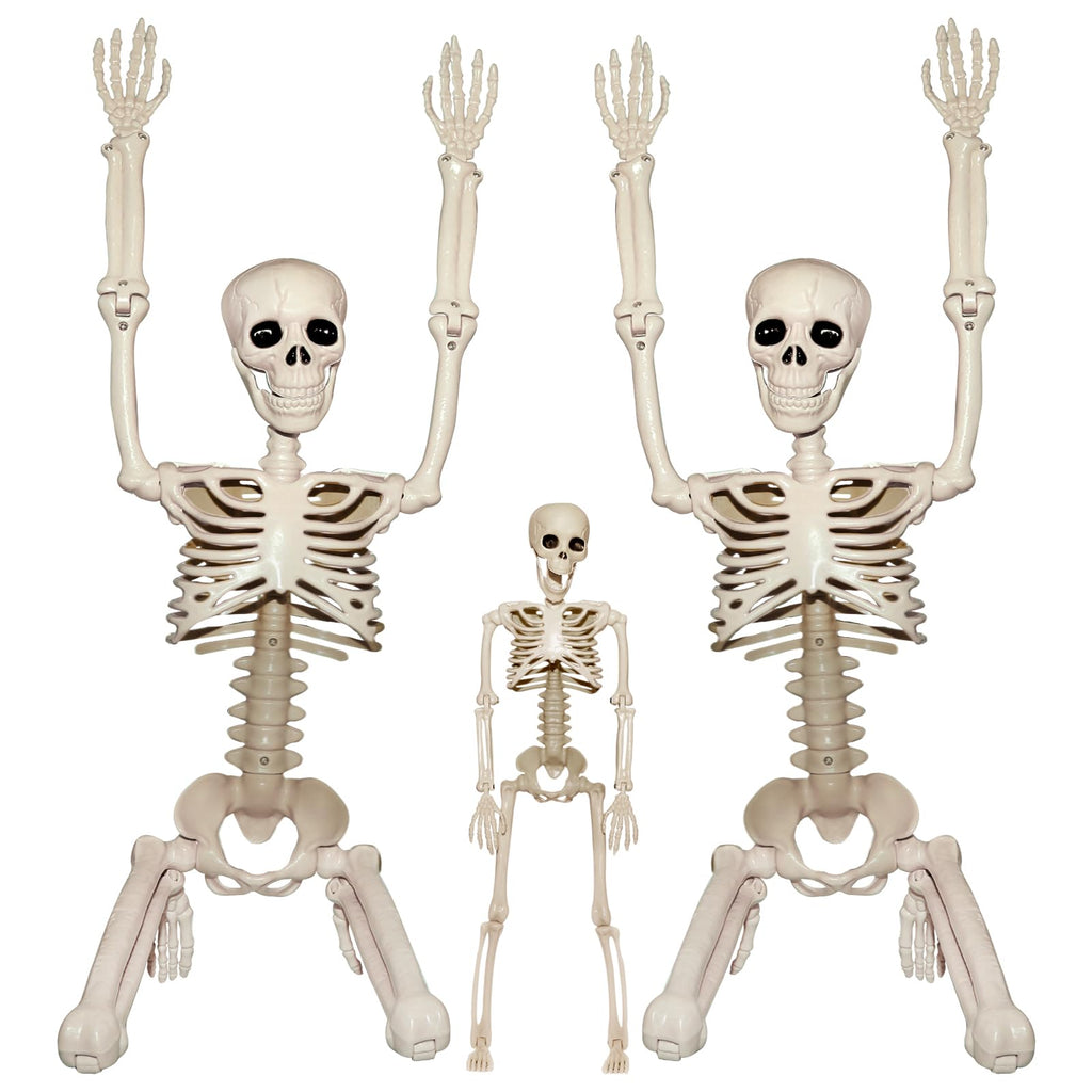 2Pcs 36" 1Pcs 16" Posable Plastic Skeleton R2165