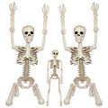 2Pcs 36" 1Pcs 16" Posable Plastic Skeleton R2165