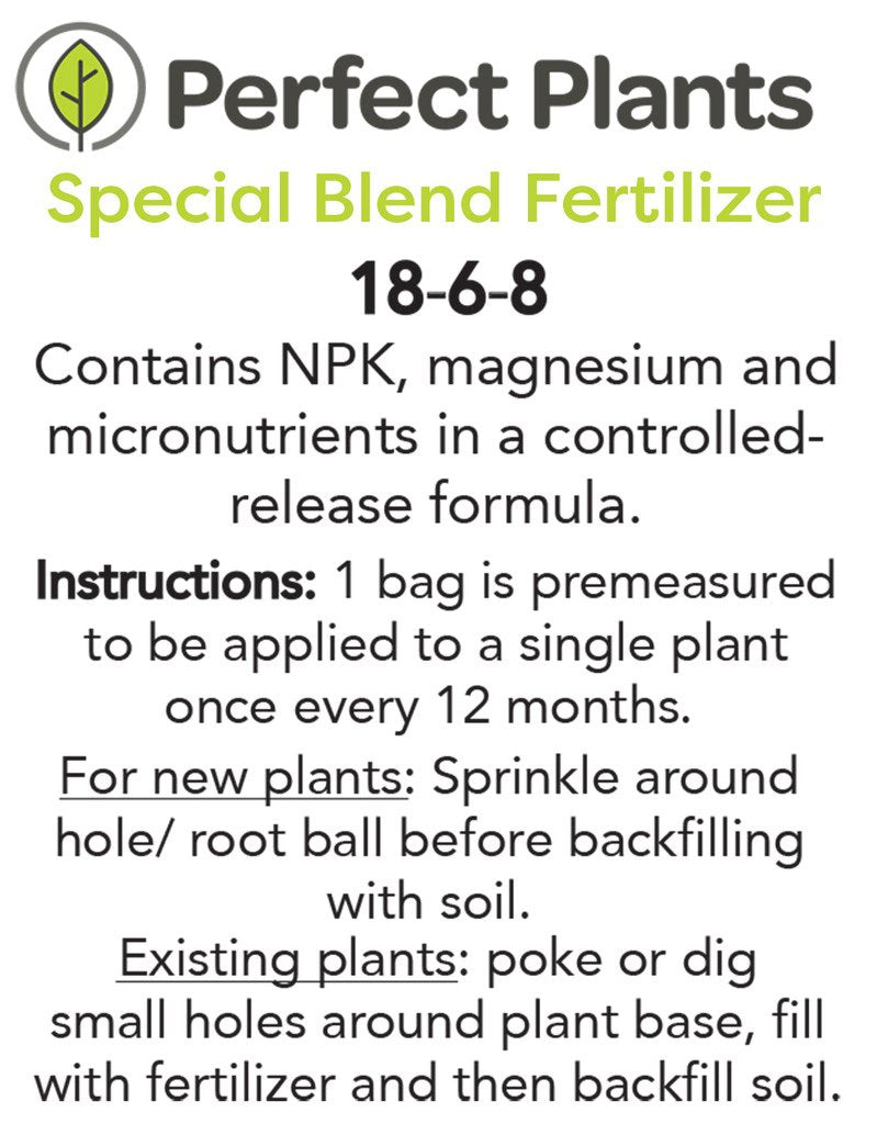 Frostproof Gardenia Live Plant 3 Gallon Pot I8083