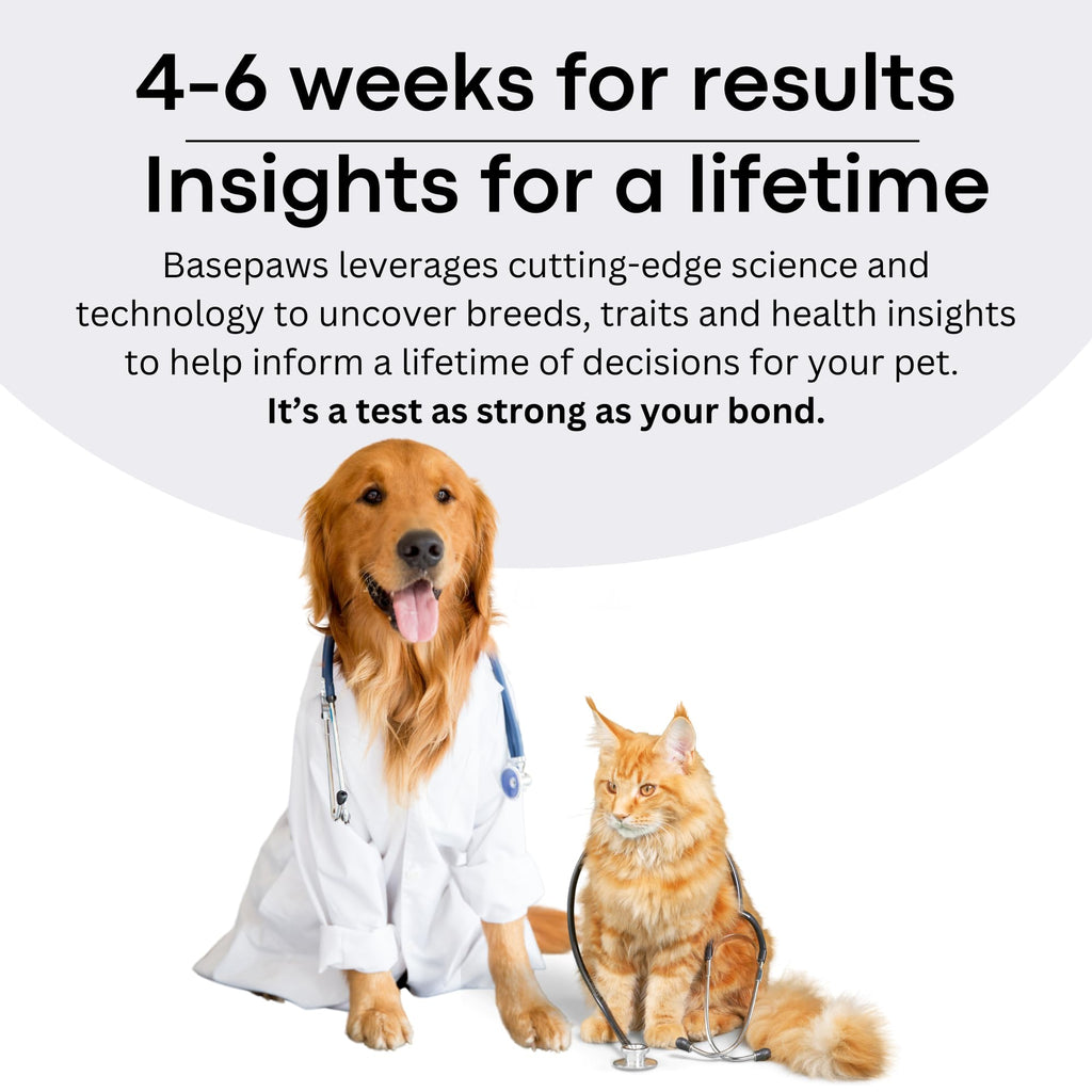 Cat DNA Test Kit P70689