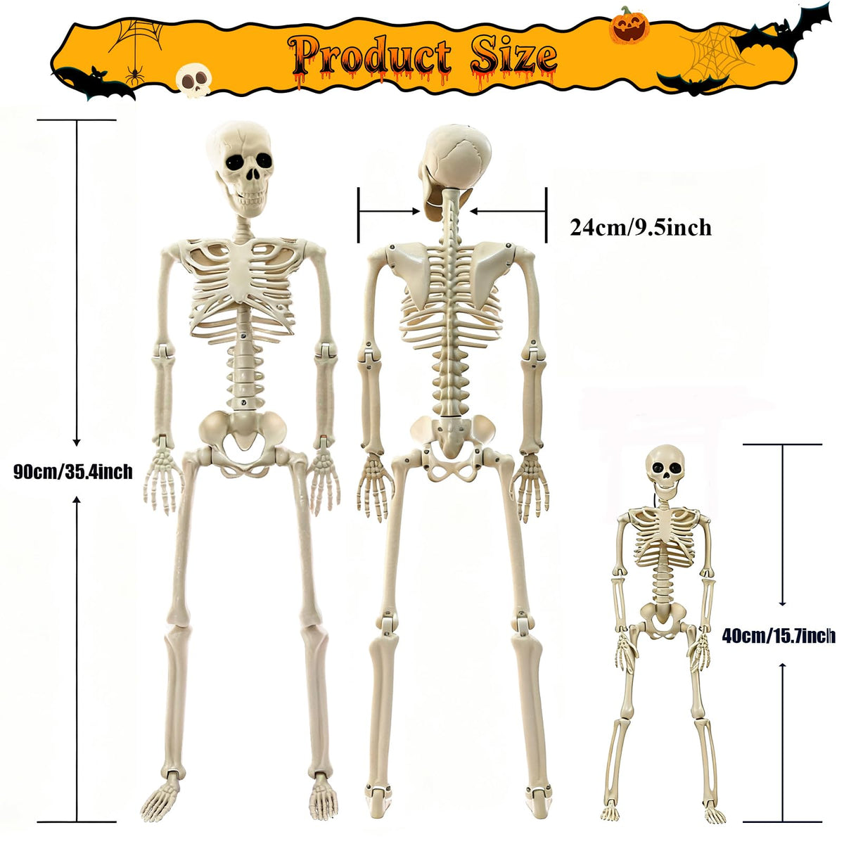 2Pcs 36" 1Pcs 16" Posable Plastic Skeleton R2165