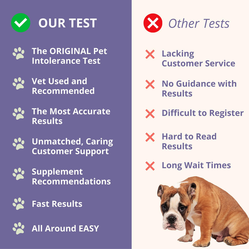 Pet Intolerance Test Dogs & Cats W206750