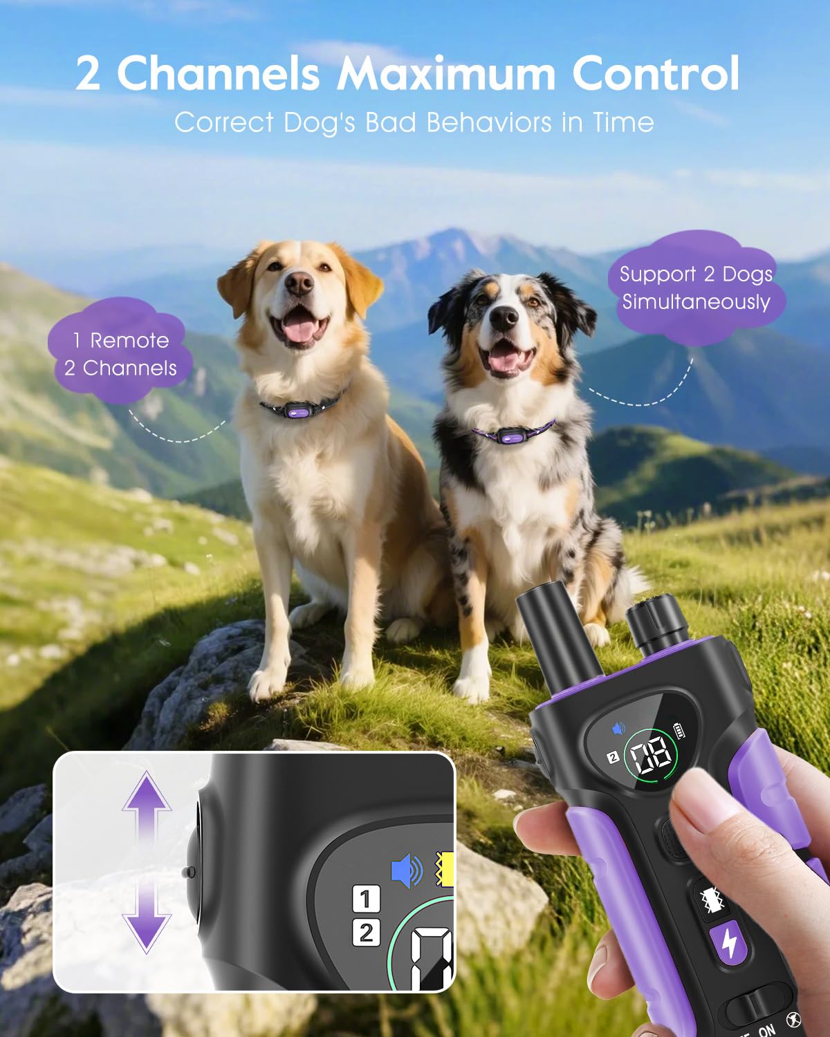 Dog Shock Collar 2 Dogs N73439