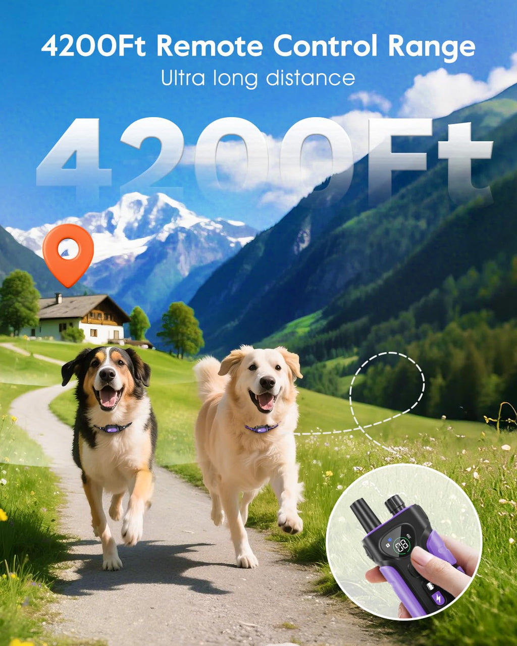 Dog Shock Collar 2 Dogs N73439