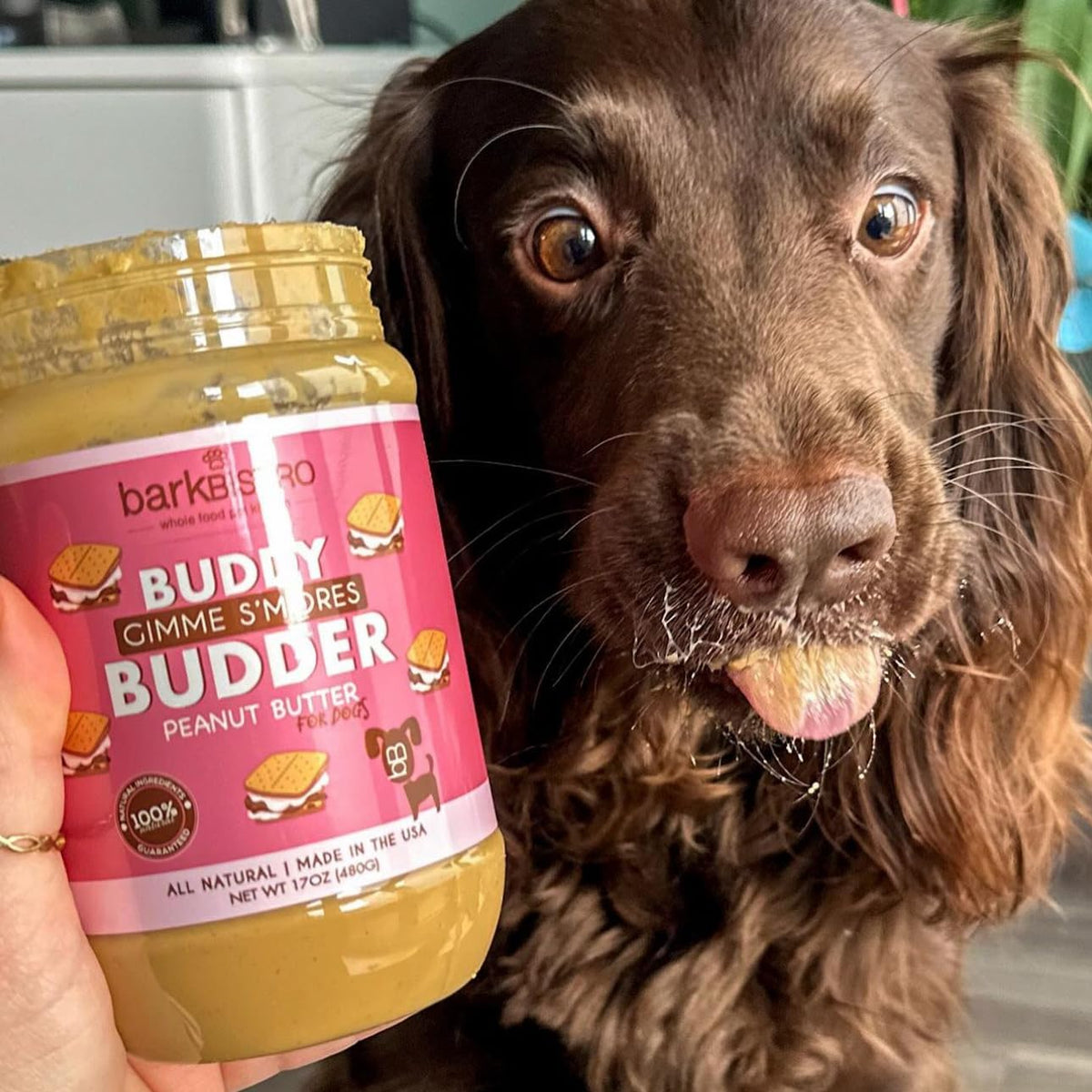 100% Natural Peanut Butter Dog Treats 17 oz W9875