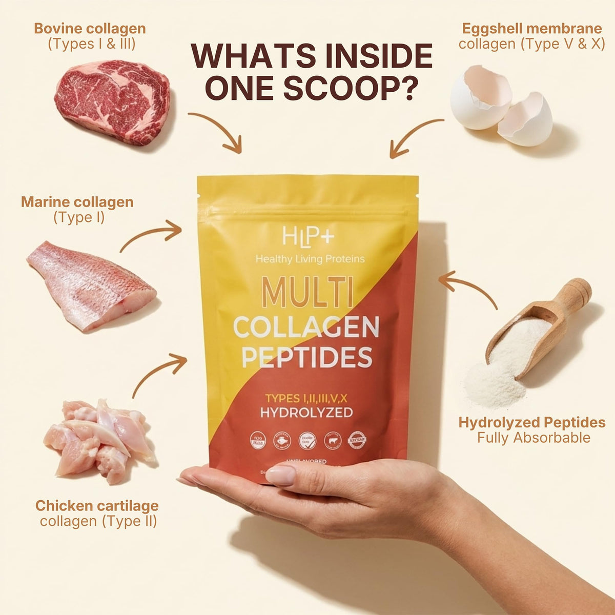 Multi Hydrolyzed Collagen Peptides Type I, II, III, V, & X Grass Fed Bovine Wild Caught Marine Free Range Chicken Gluten Free Unflavored 1 Pound O262001
