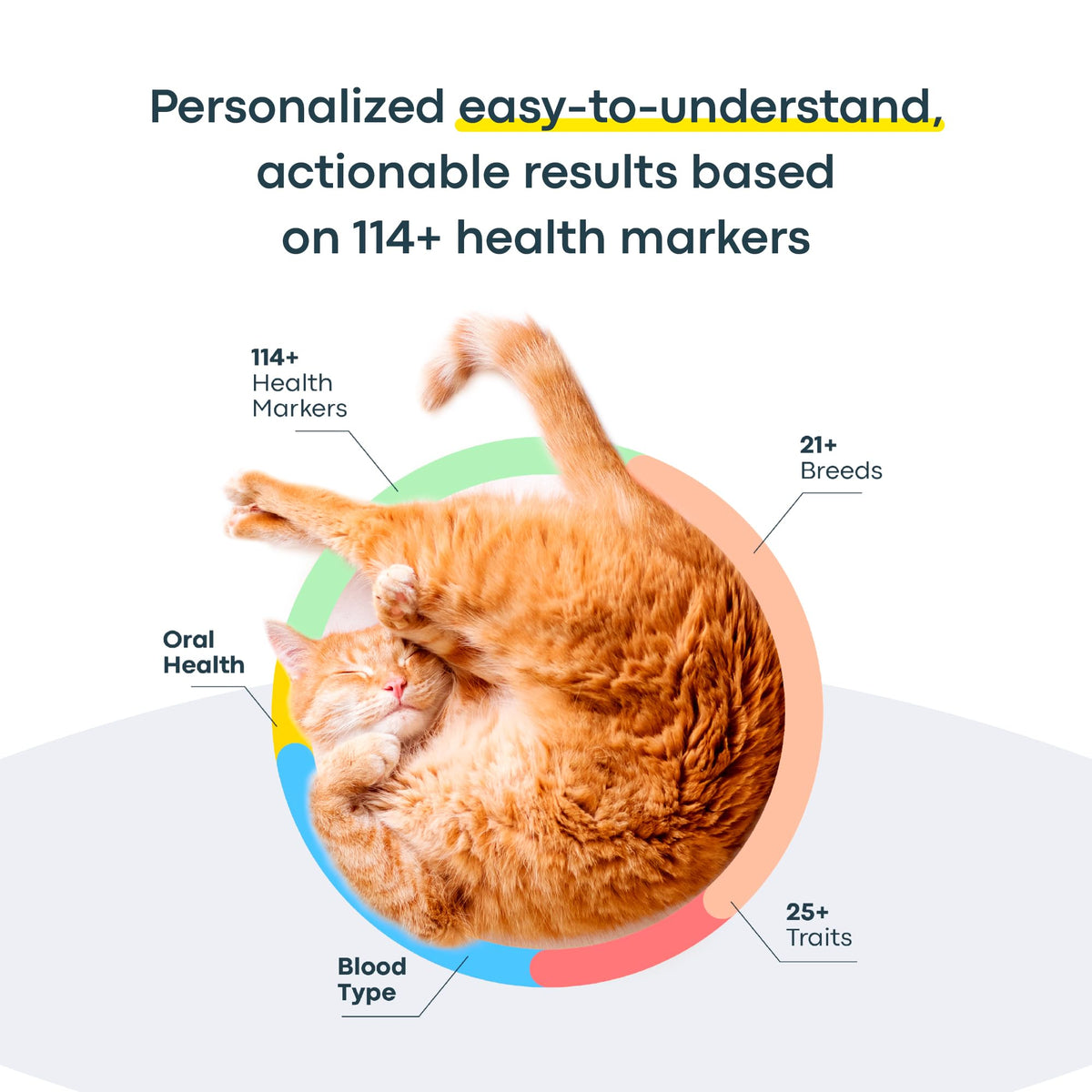 Cat DNA Test Kit P70689