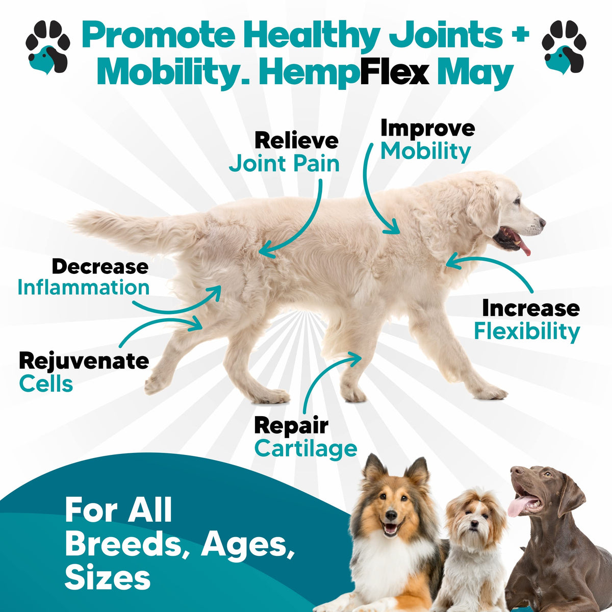 Glucosamine for Dogs Hip and Joint Supplement Soft Chews D72103
