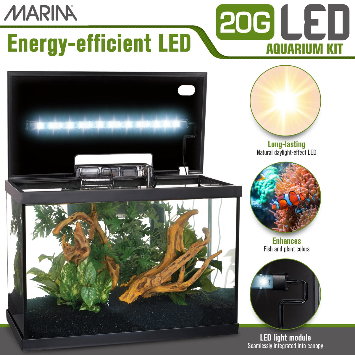 20 Gallon LED Aquarium Kit with Filter K912448