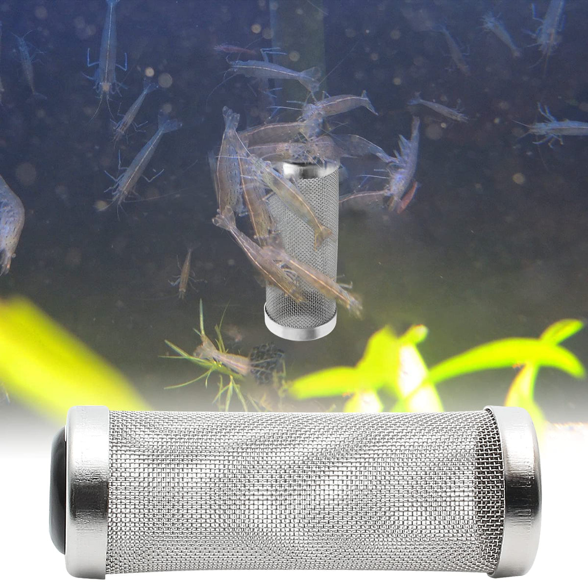 Stainless Steel Aquarium Filter Intake Cover 12mm F510589