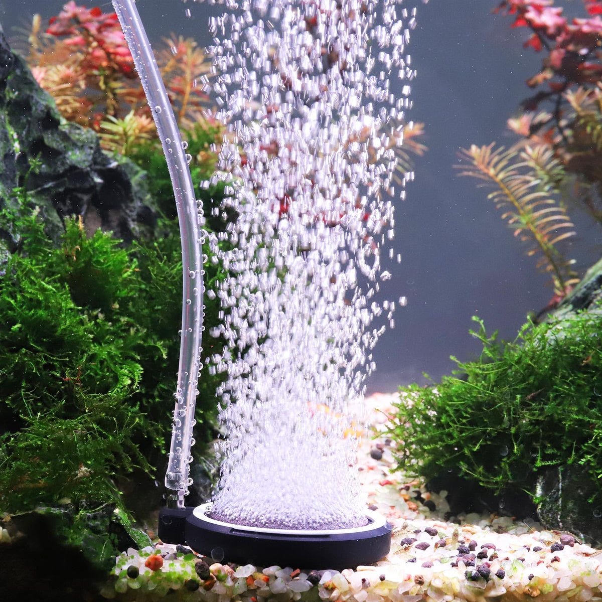 Aquarium Air Stone Diffuser Kit 2 x 2 Inch N690773