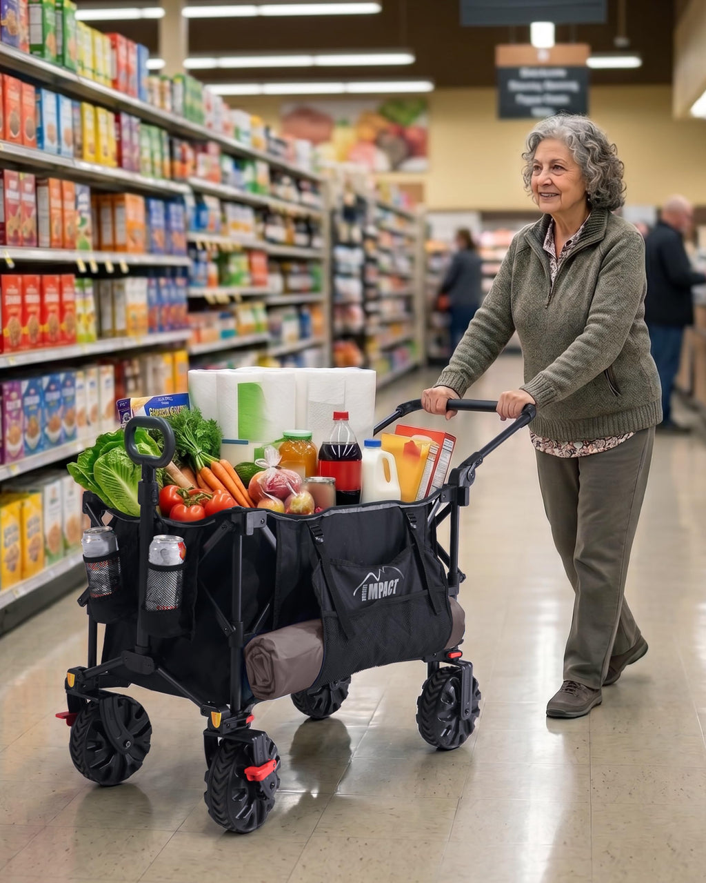Foldable Push Wagon with Canopy W185569