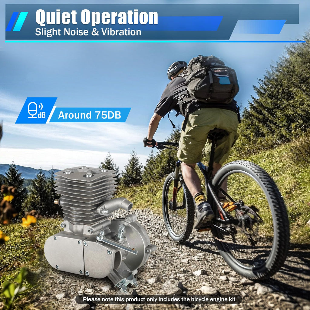 100cc 2 Stroke Bicycle Engine Kit D5119