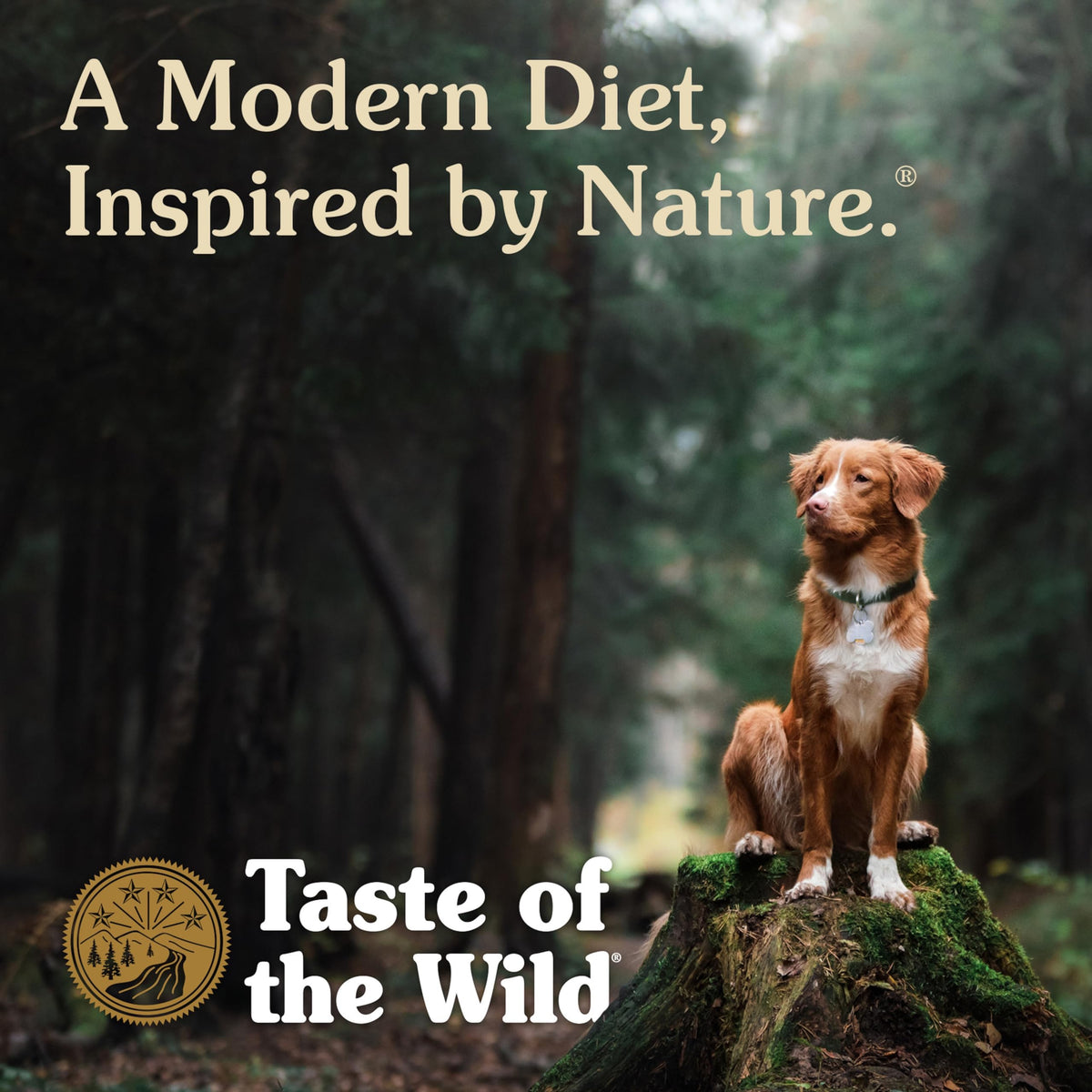 High Prairie Adult Dry Dog Food Roasted Bison 28lb O81942