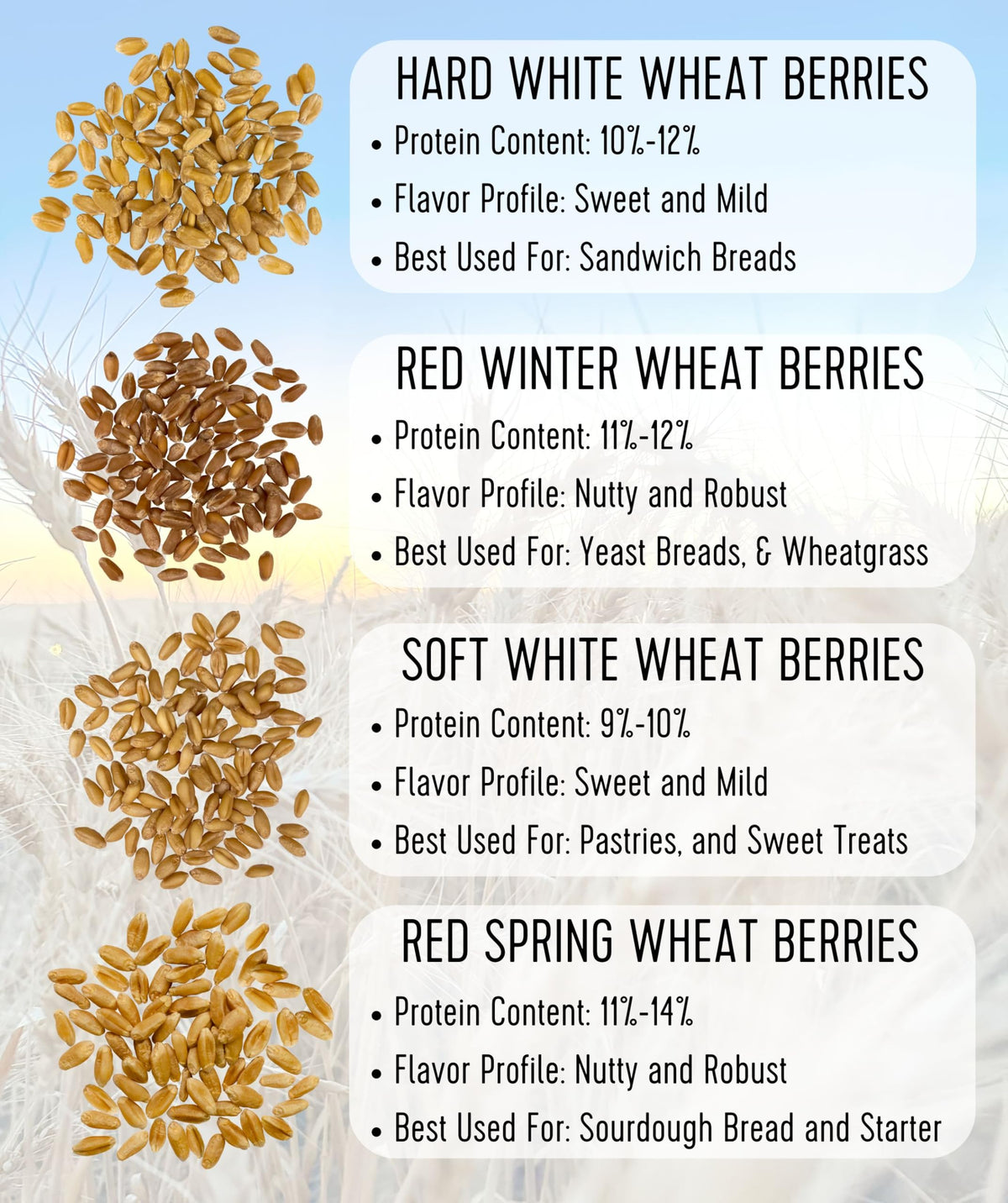 Hard White Wheat Berries 5 lbs T9701