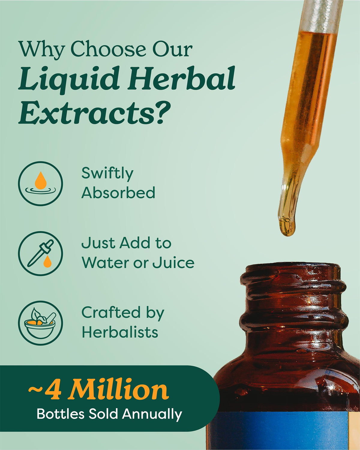 Organic Garlic Liquid Extract 1 Ounce N164221