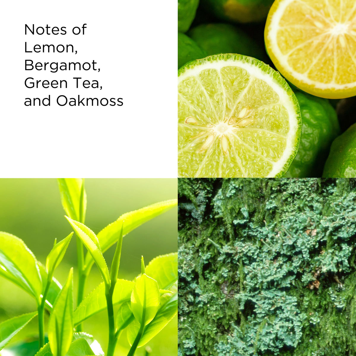 Green Tea Eau de Toilette Z9156