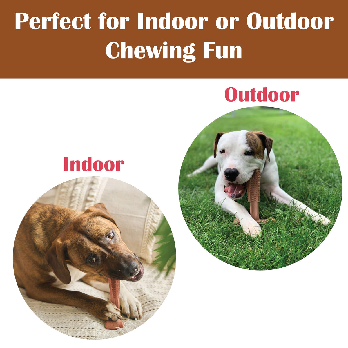 Beef Dog Chew V214