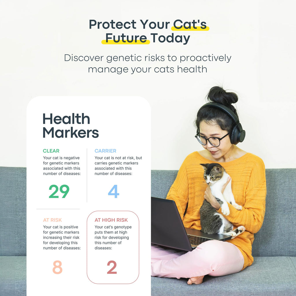 Cat DNA Test Kit P70689