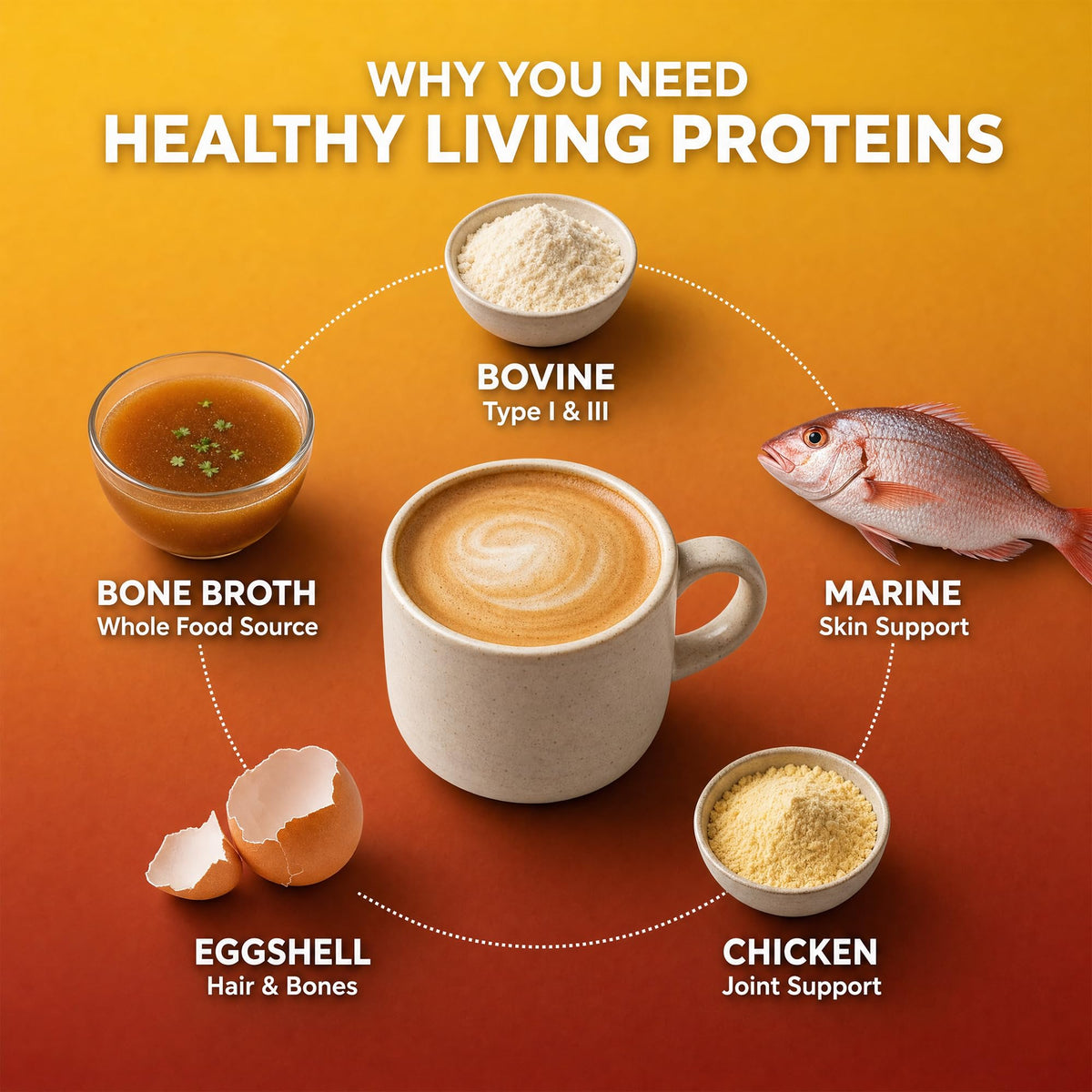 Multi Hydrolyzed Collagen Peptides Type I, II, III, V, & X Grass Fed Bovine Wild Caught Marine Free Range Chicken Gluten Free Unflavored 1 Pound O262001