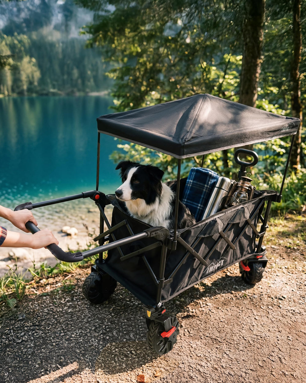Foldable Push Wagon with Canopy W185569