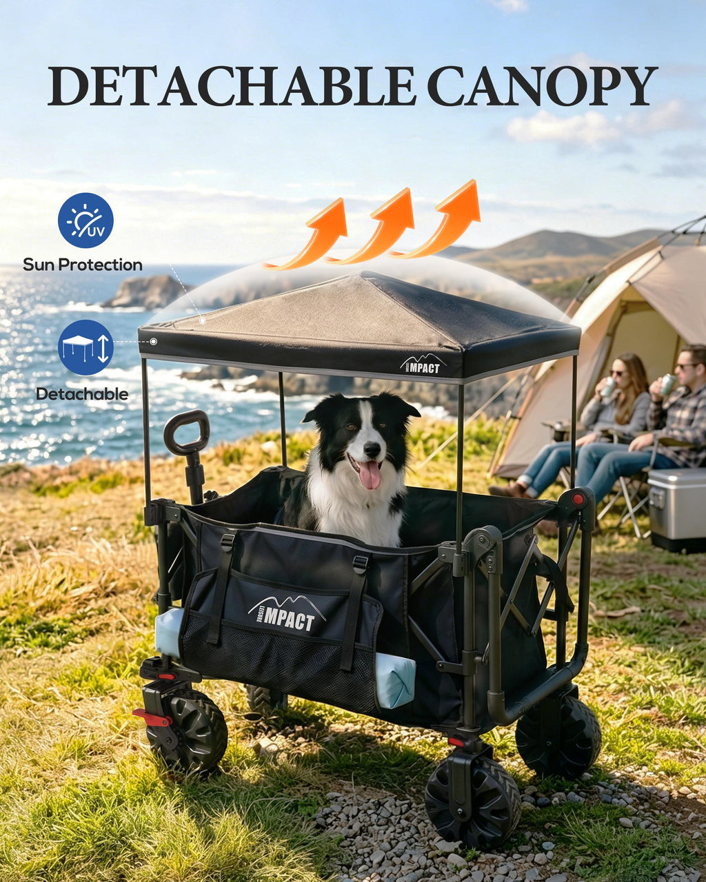 Foldable Push Wagon with Canopy W185569