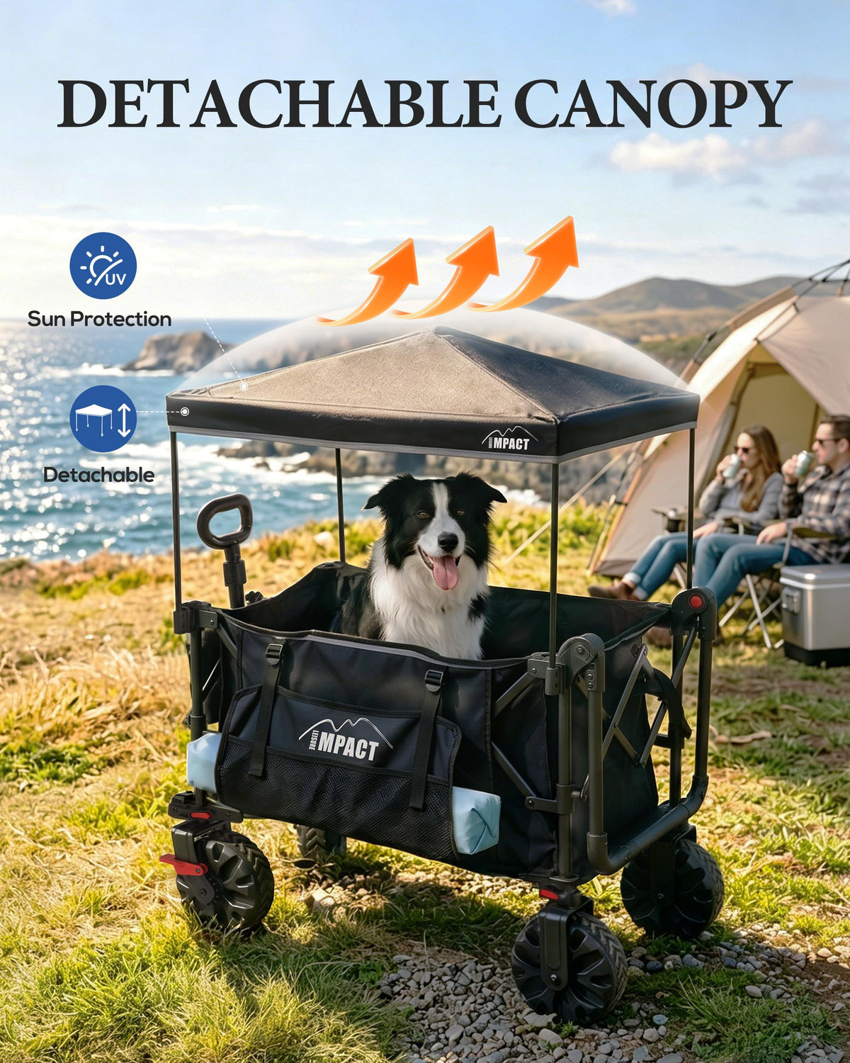 Foldable Push Wagon with Canopy W185569